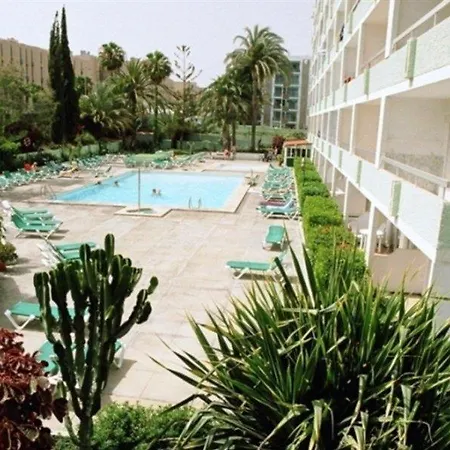 Aguacates * GRAN CANARIA